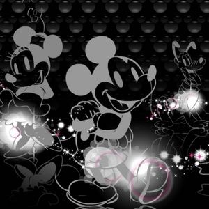 Meet your Posher, Misty